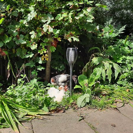 De Akker, Unieke Overnachting In Pipowagens! Ommeren 外观 照片